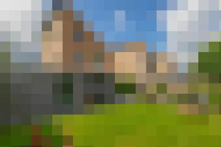 Slachdrompel 10 Lemmer thumbnail 21