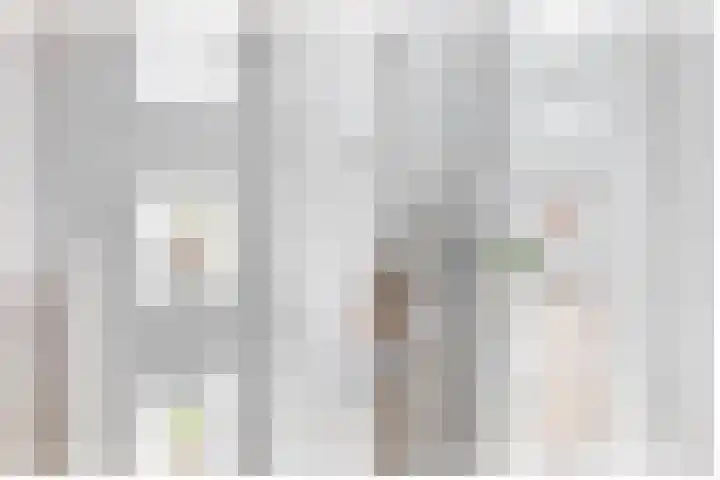 Slachdrompel 10 Lemmer thumbnail 32