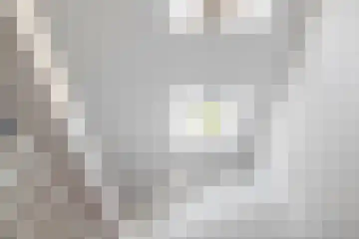Slachdrompel 10 Lemmer thumbnail 39