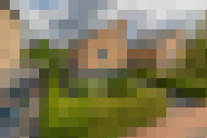 Slachdrompel 10 Lemmer thumbnail 40