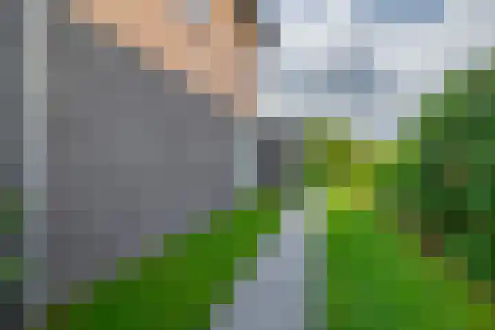Slachdrompel 10 Lemmer thumbnail 41
