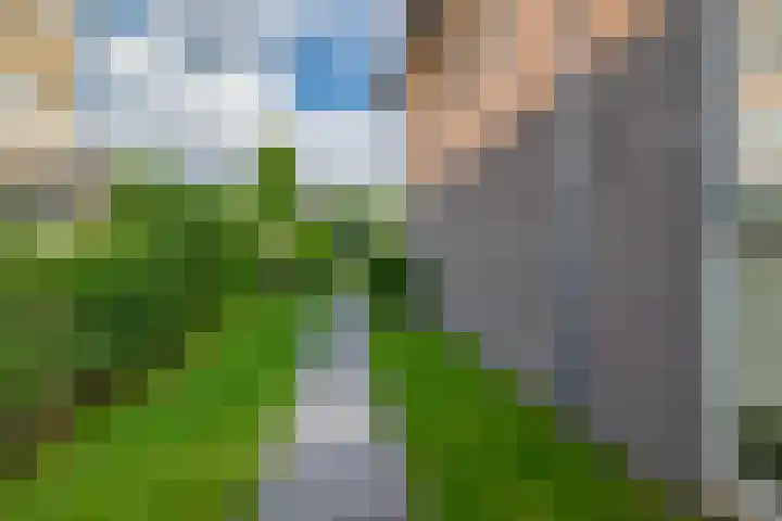 Slachdrompel 10 Lemmer thumbnail 42