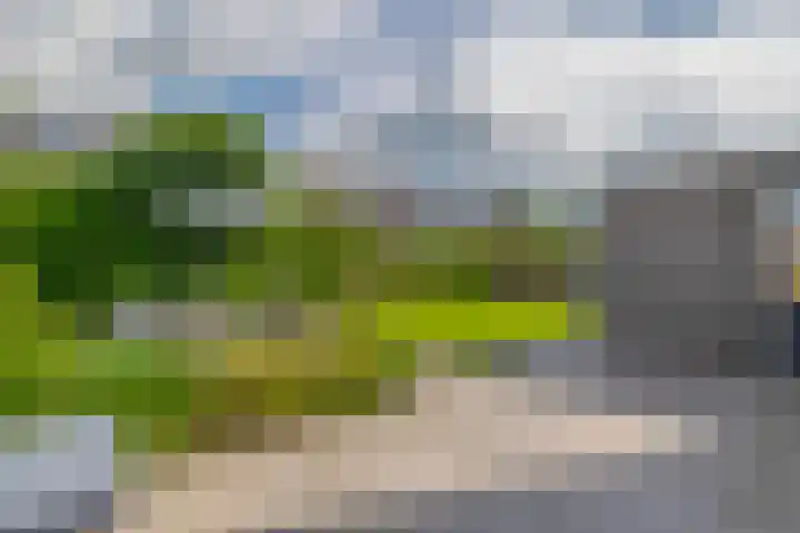Slachdrompel 10 Lemmer thumbnail 43