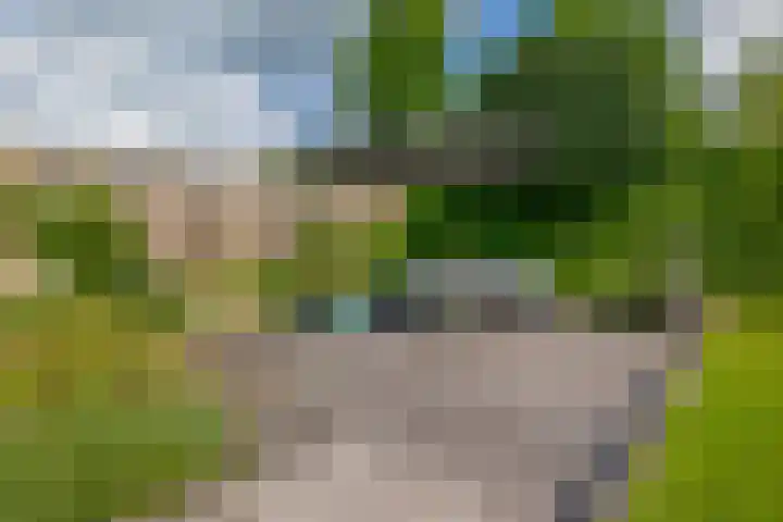 Slachdrompel 10 Lemmer thumbnail 44