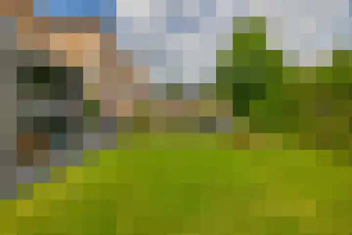 Slachdrompel 10 Lemmer thumbnail 45