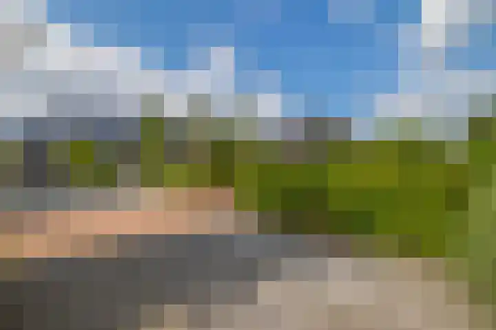 Slachdrompel 10 Lemmer thumbnail 47