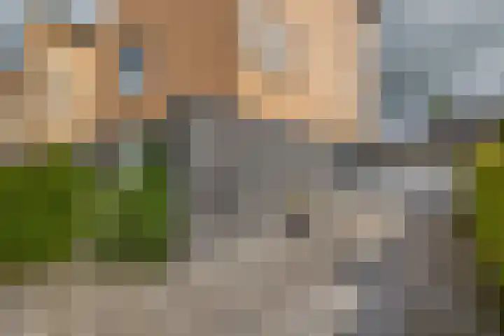 Slachdrompel 10 Lemmer thumbnail 5