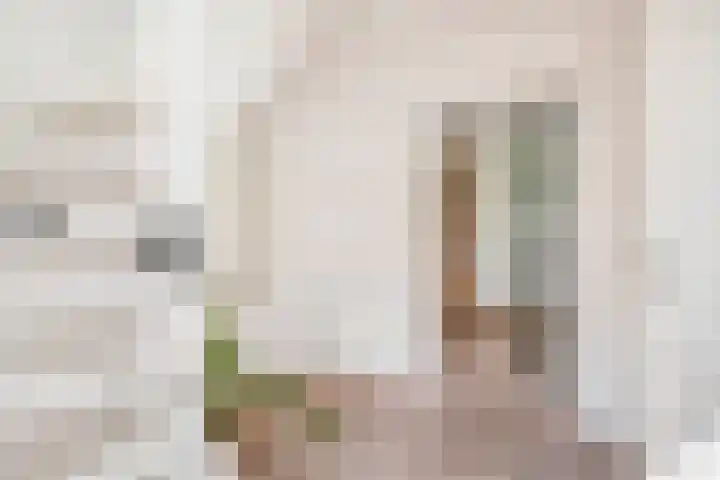 Slachdrompel 10 Lemmer thumbnail 8