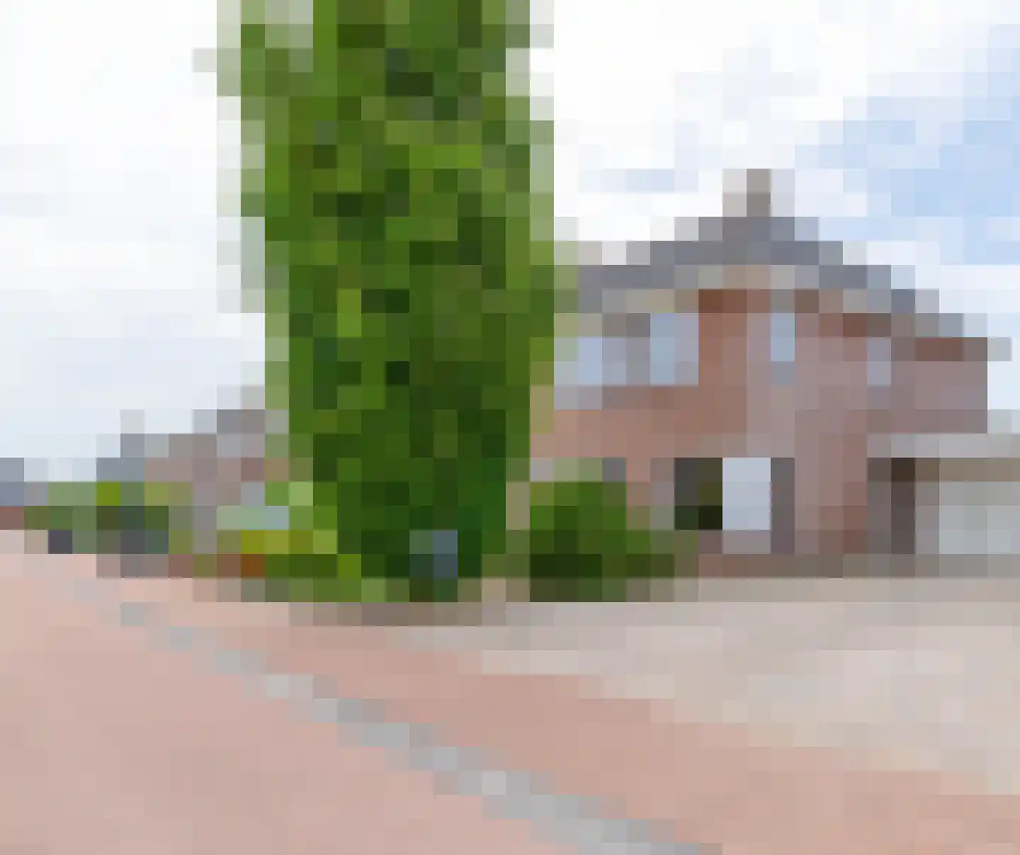 Slachdrompel 24 Lemmer