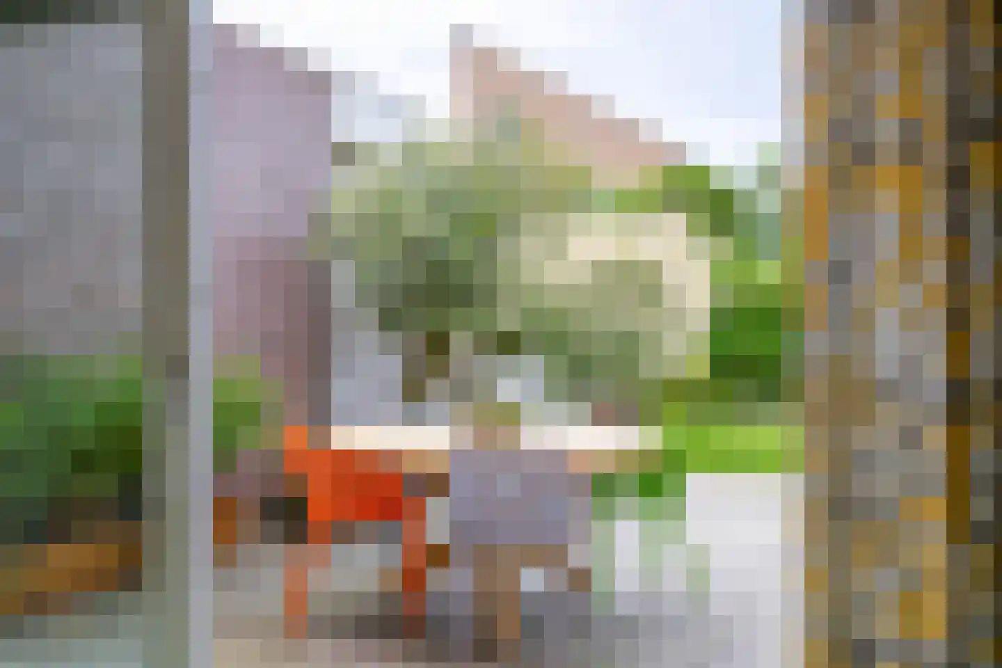 Slachdrompel 24 Lemmer thumbnail 15