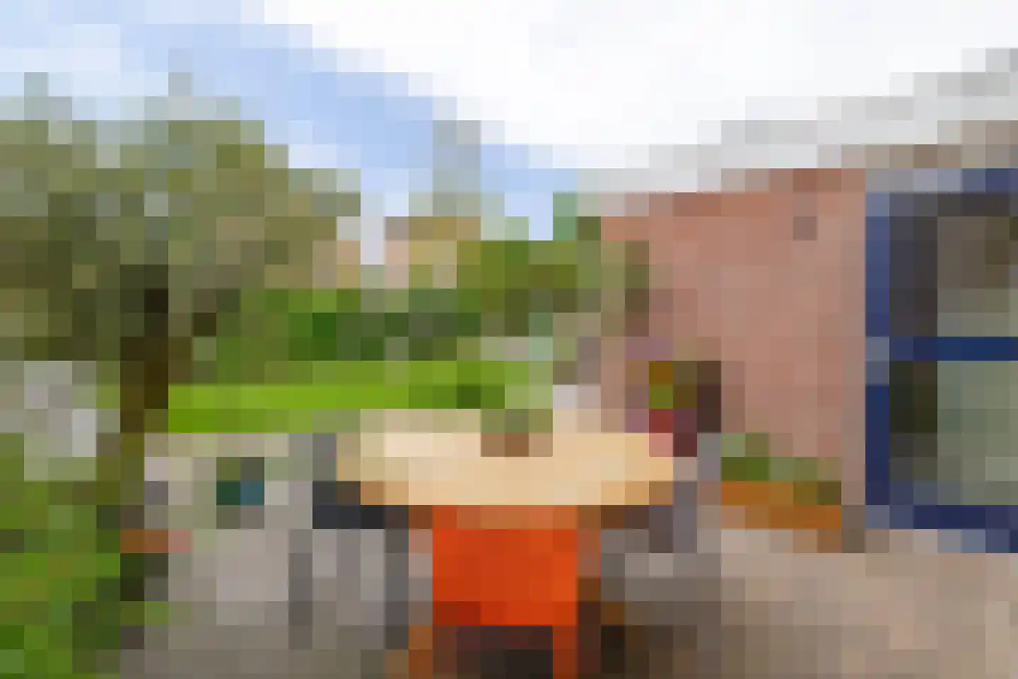 Slachdrompel 24 Lemmer thumbnail 21