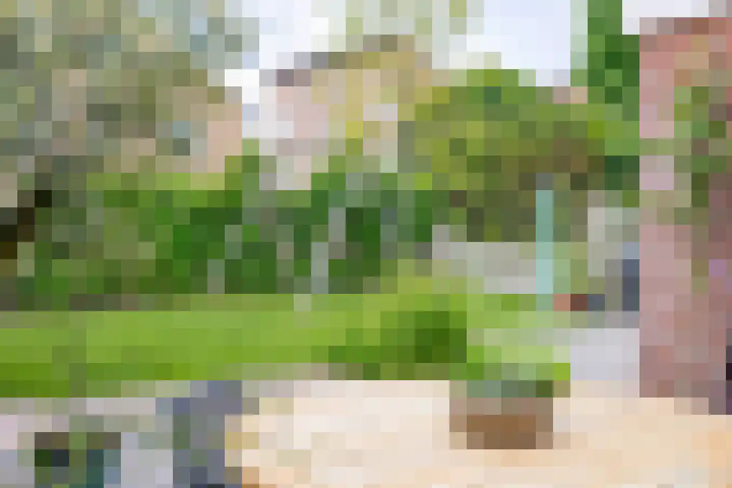 Slachdrompel 24 Lemmer thumbnail 22