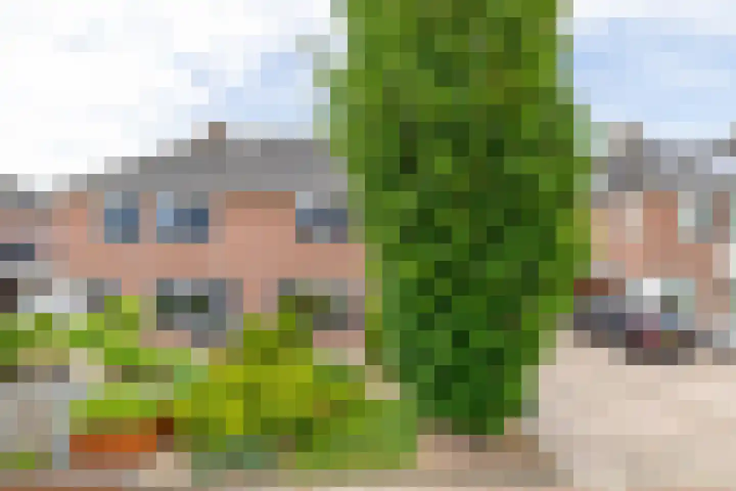 Slachdrompel 24 Lemmer thumbnail 38