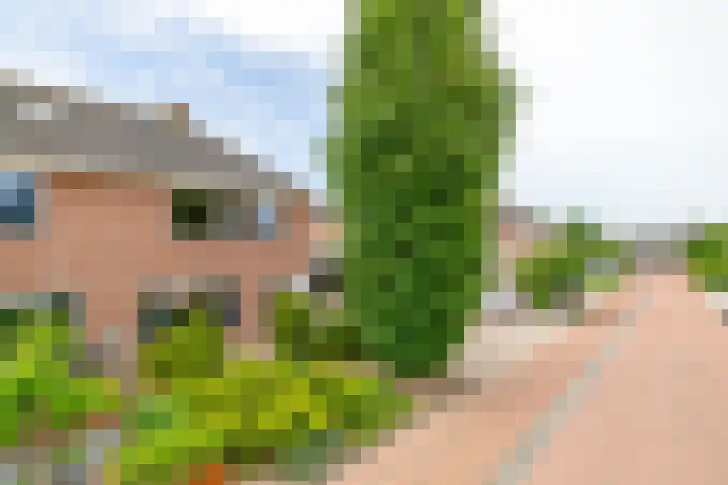 Slachdrompel 24 Lemmer thumbnail 39