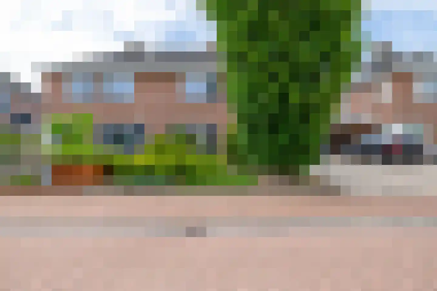 Slachdrompel 24 Lemmer thumbnail 4