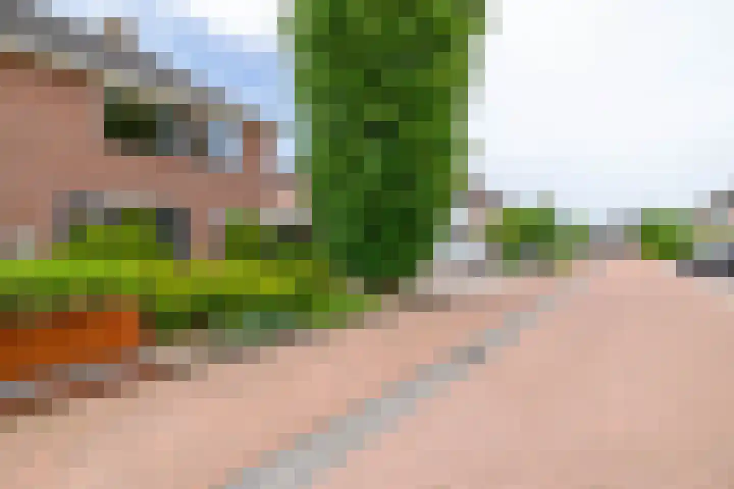 Slachdrompel 24 Lemmer thumbnail 40