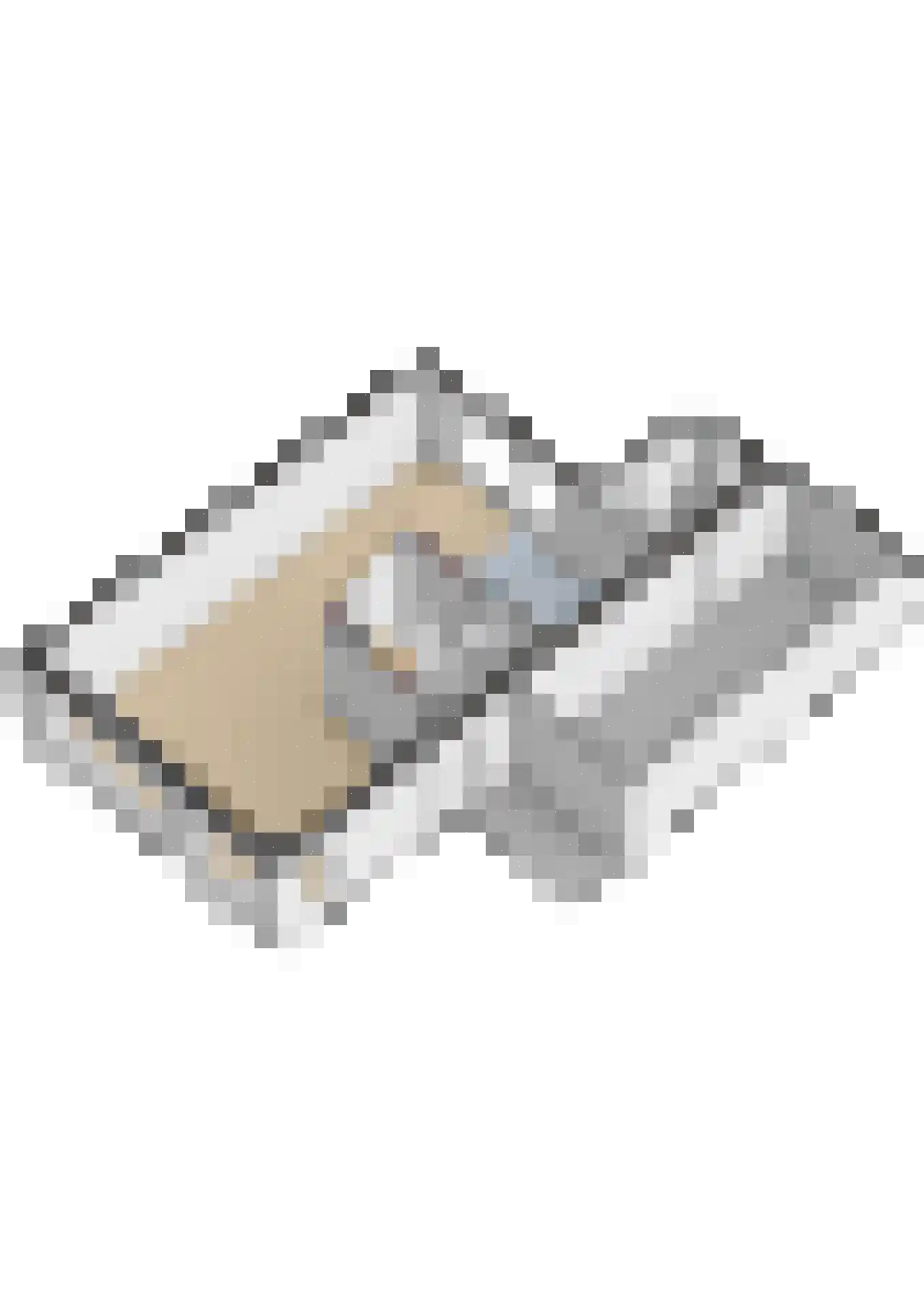 Slachdrompel 24 Lemmer thumbnail 43