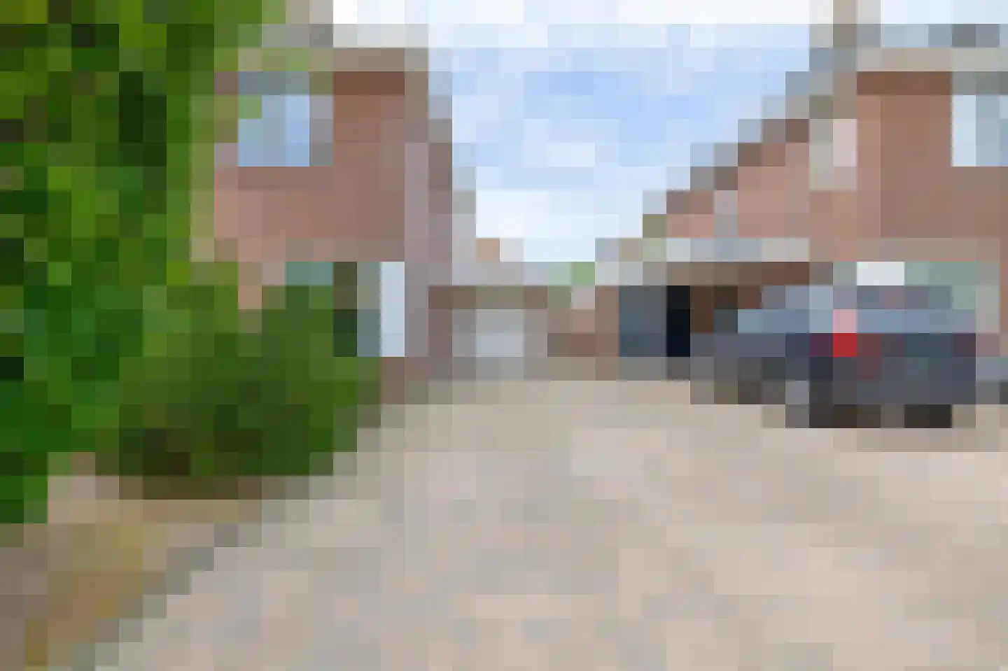Slachdrompel 24 Lemmer thumbnail 5