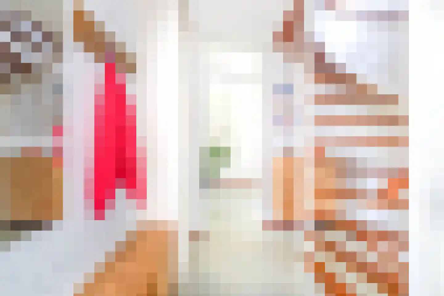 Slachdrompel 24 Lemmer thumbnail 8