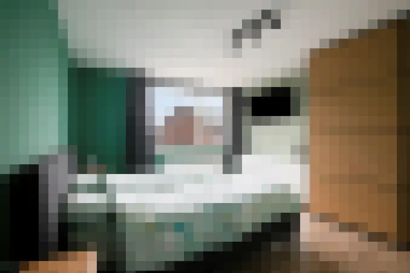 Slachdrompel 26 Lemmer thumbnail 20