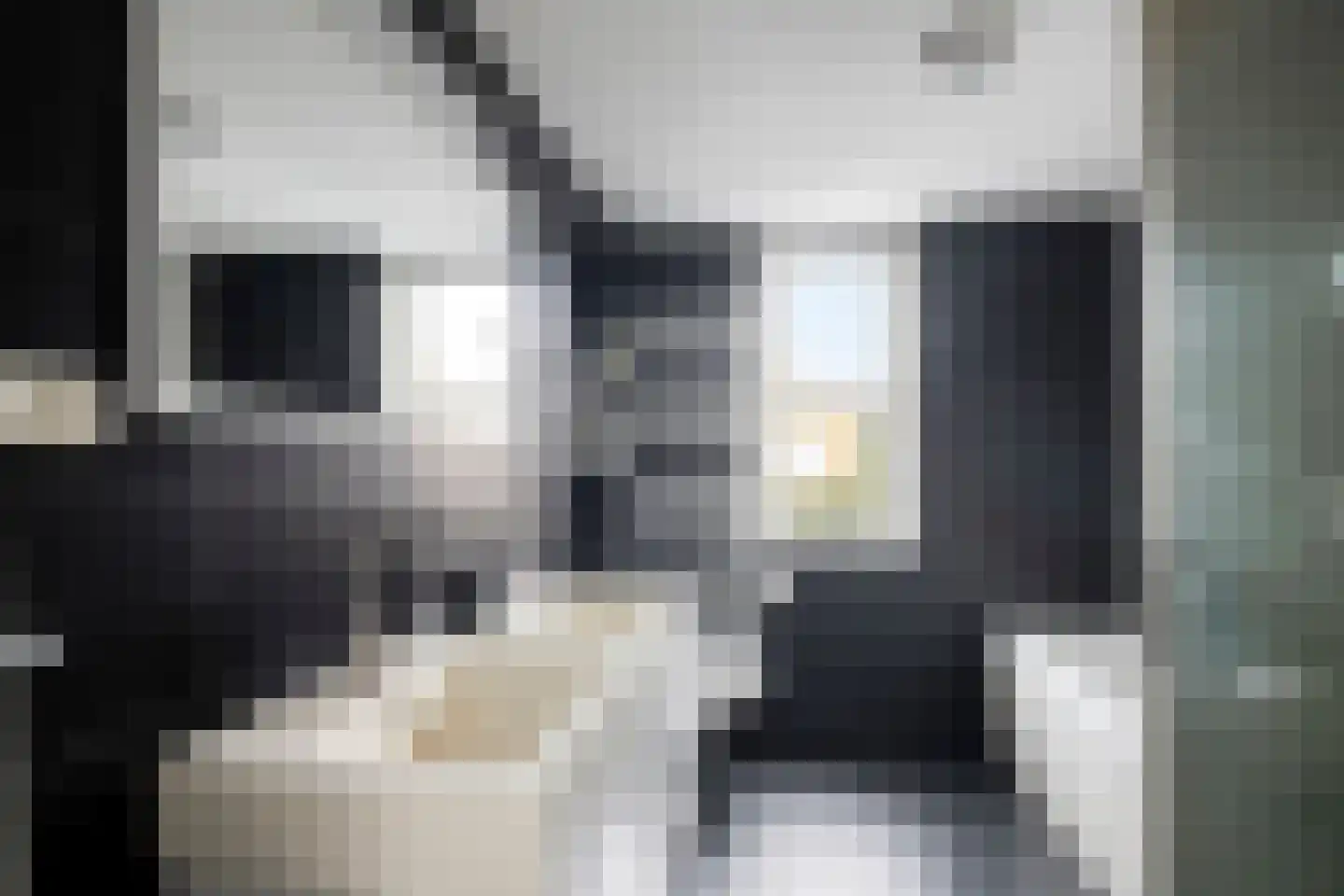 Slachdrompel 26 Lemmer thumbnail 26