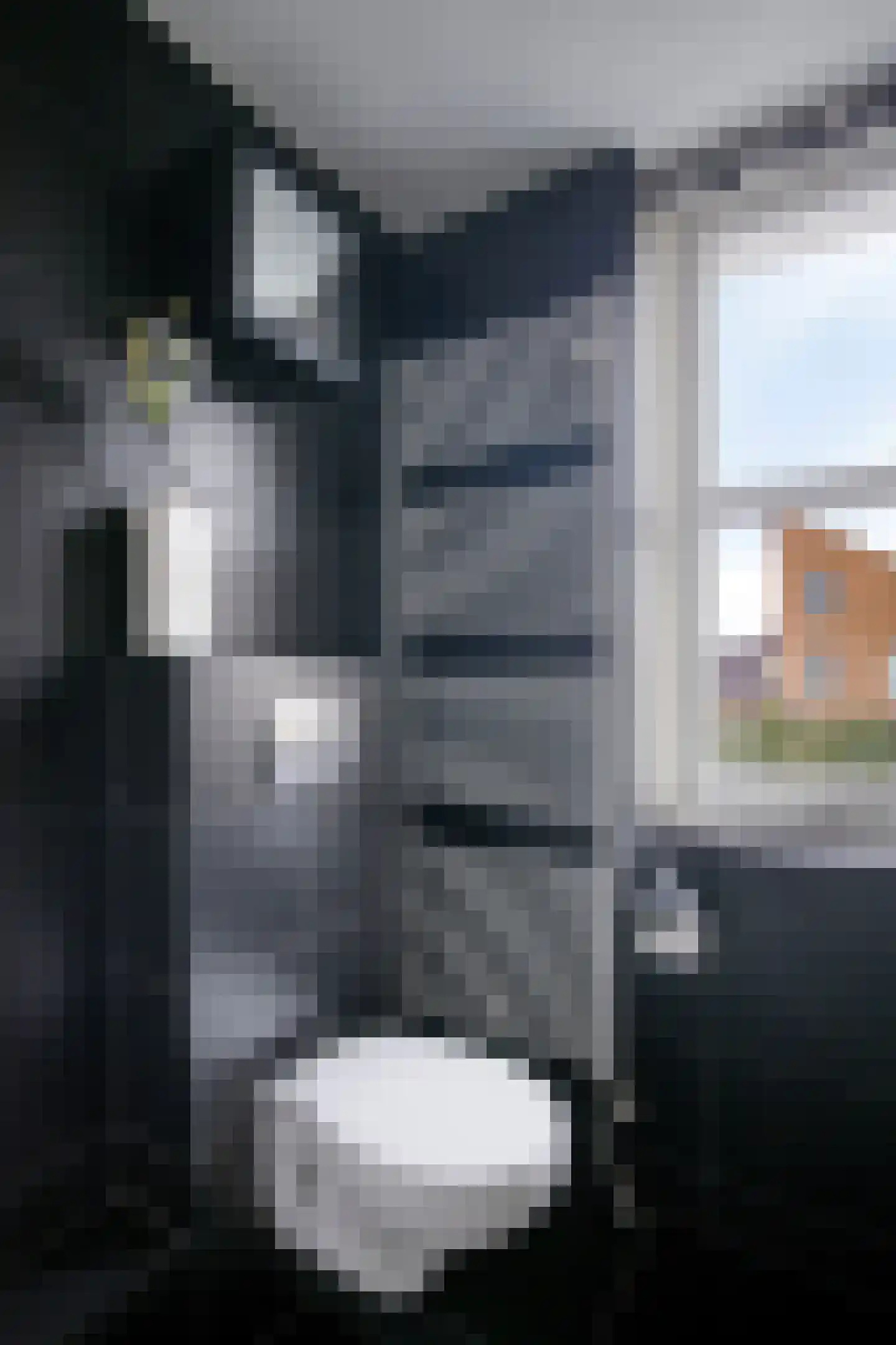 Slachdrompel 26 Lemmer thumbnail 27