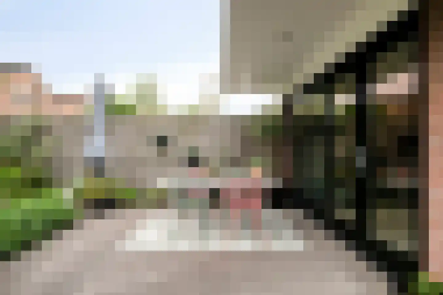 Slachdrompel 26 Lemmer thumbnail 33