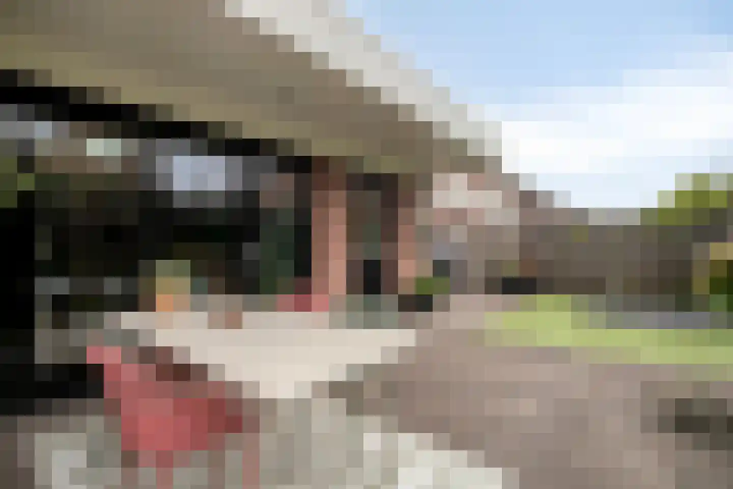 Slachdrompel 26 Lemmer thumbnail 35