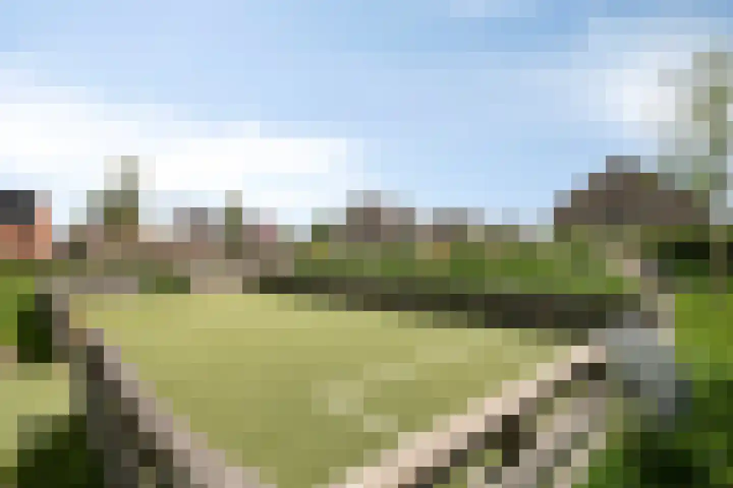 Slachdrompel 26 Lemmer thumbnail 43