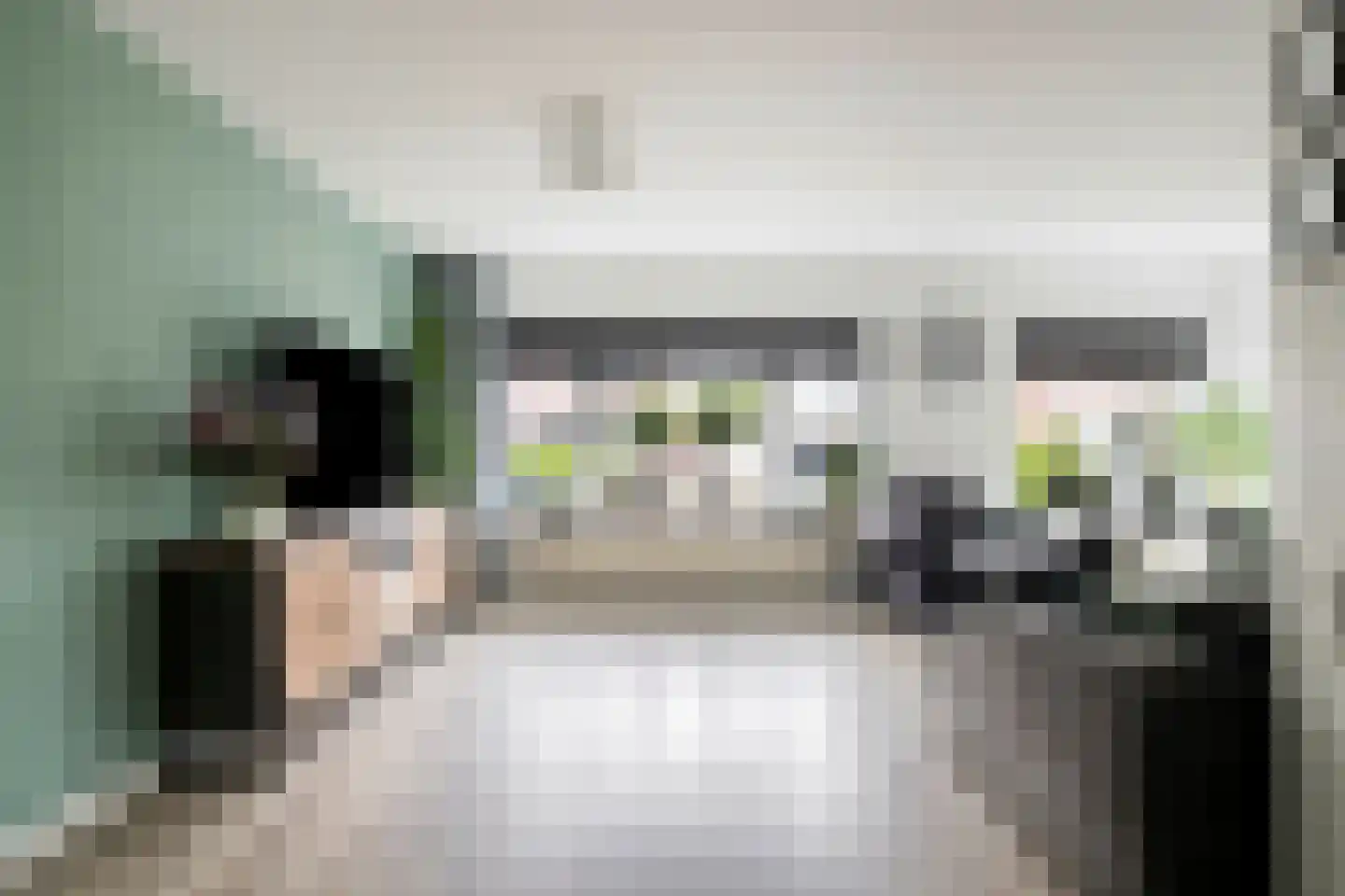 Slachdrompel 26 Lemmer thumbnail 8