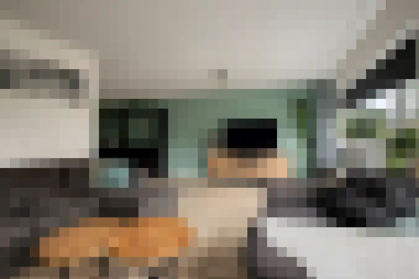 Slachdrompel 26 Lemmer thumbnail 9