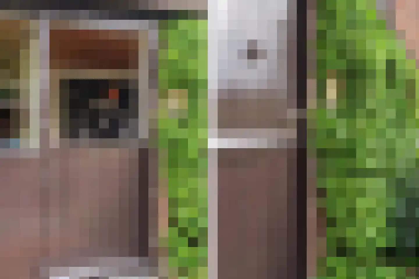 Slachte 12 Wommels thumbnail 11