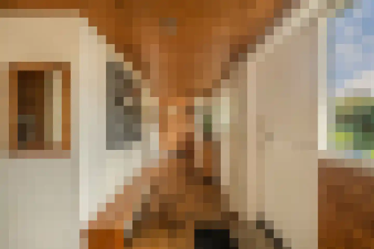 Slachte 12 Wommels thumbnail 12