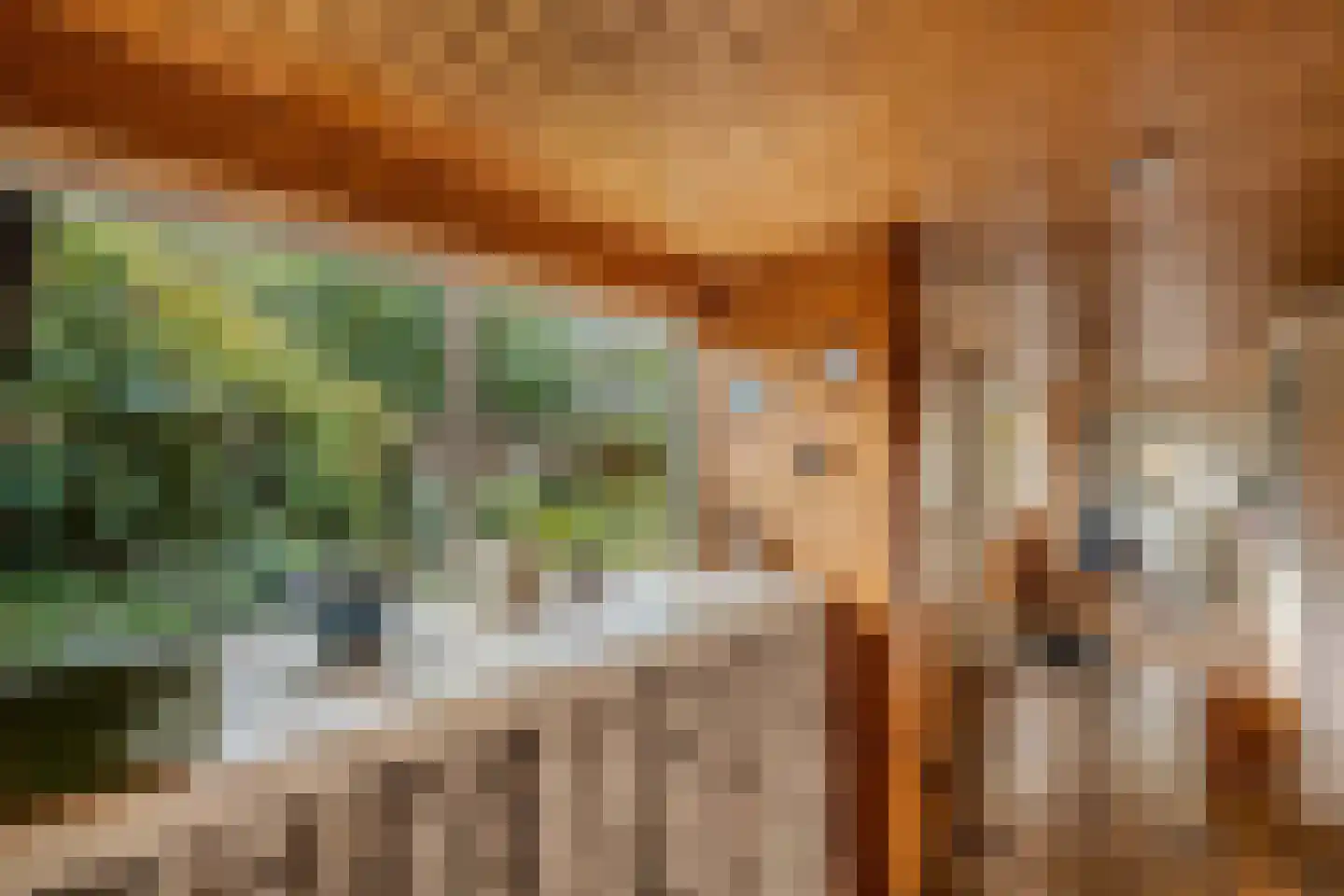 Slachte 12 Wommels thumbnail 13