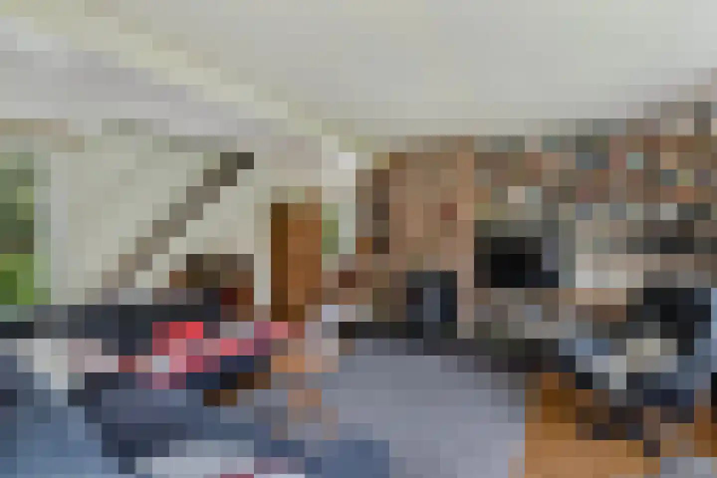 Slachte 12 Wommels thumbnail 19