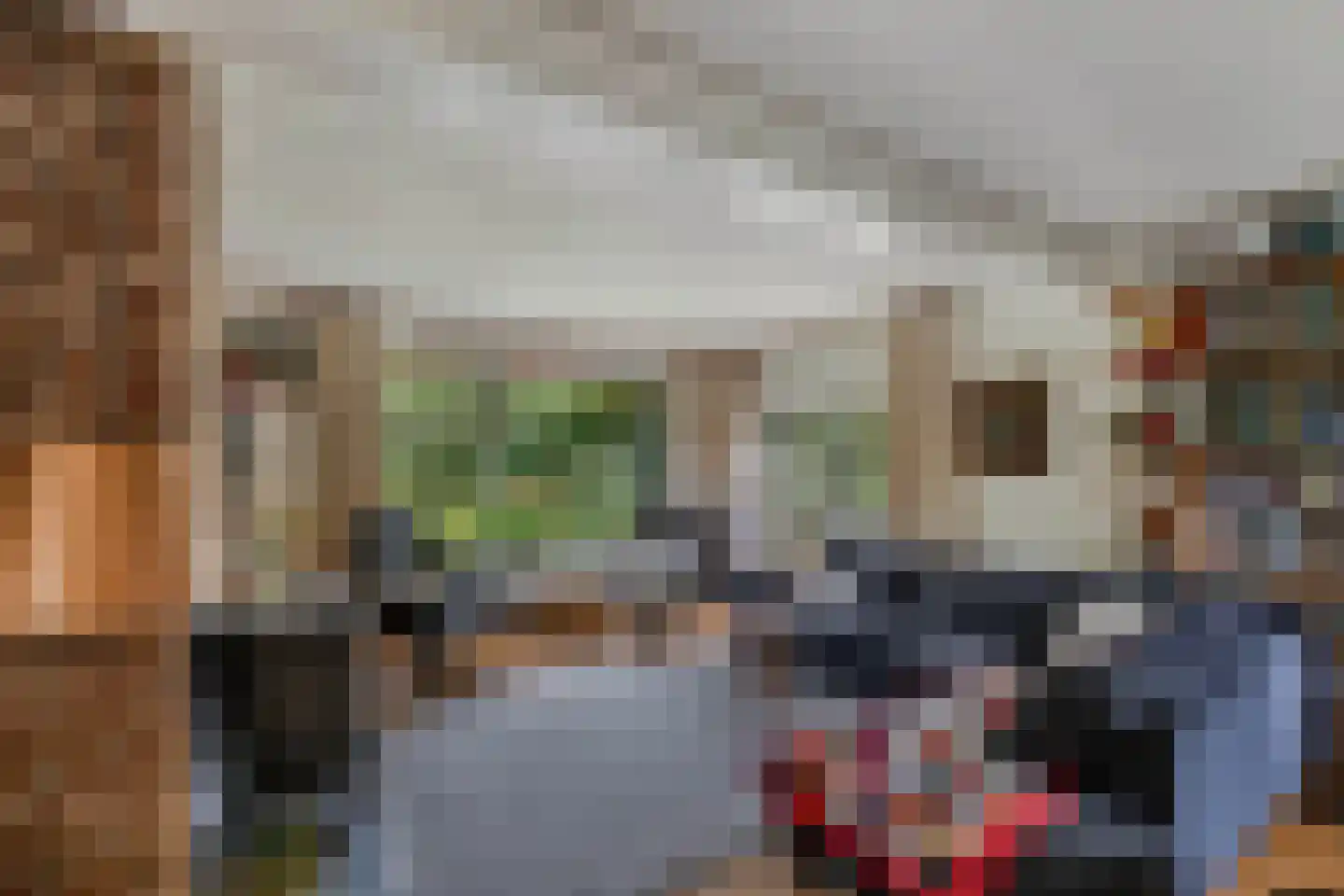 Slachte 12 Wommels thumbnail 20