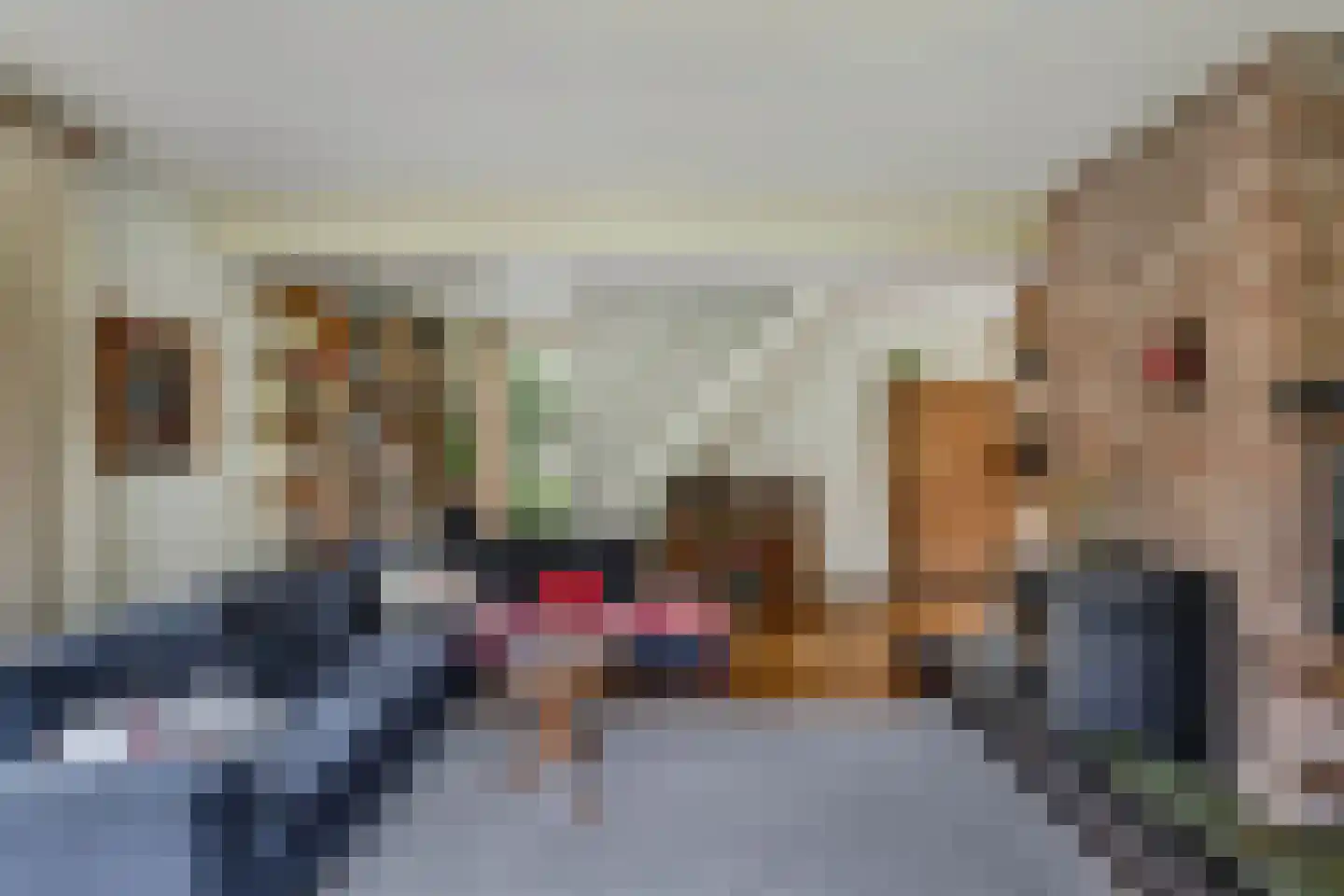 Slachte 12 Wommels thumbnail 22