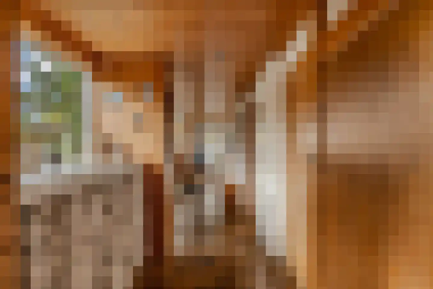 Slachte 12 Wommels thumbnail 24