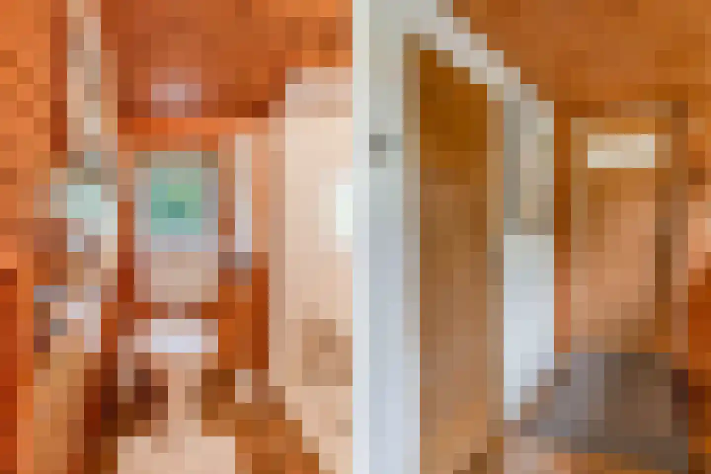 Slachte 12 Wommels thumbnail 26