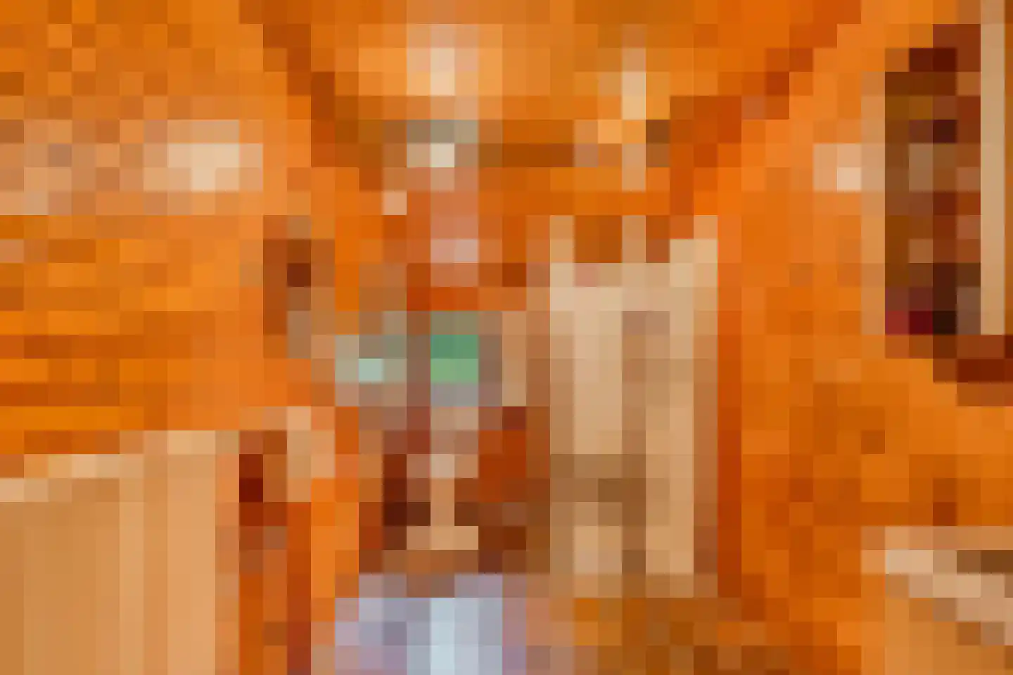 Slachte 12 Wommels thumbnail 27