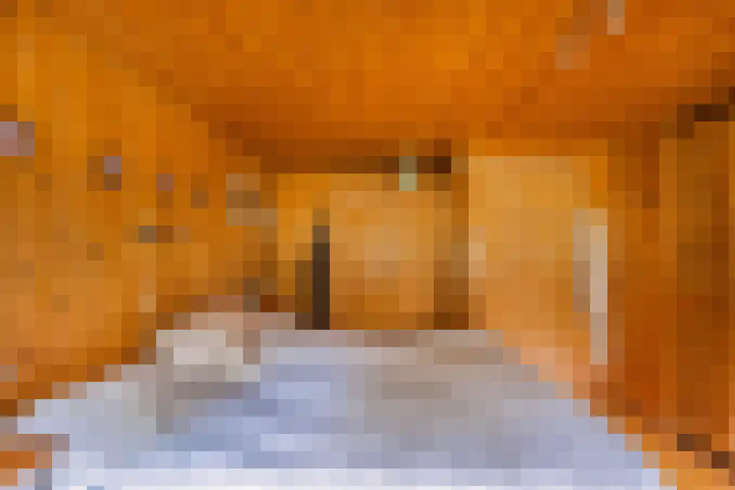 Slachte 12 Wommels thumbnail 29