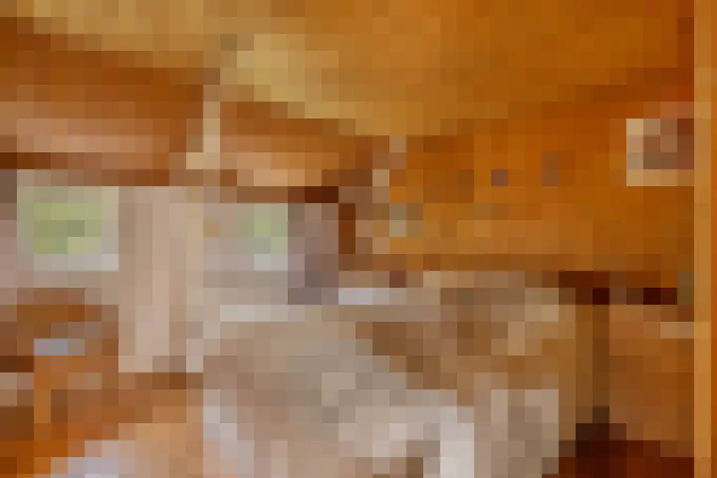 Slachte 12 Wommels thumbnail 30