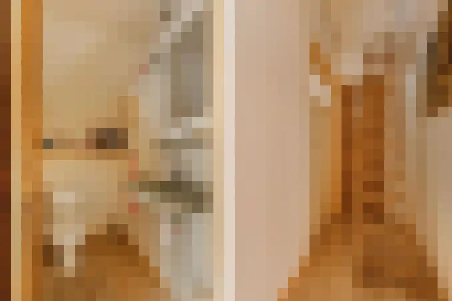 Slachte 12 Wommels thumbnail 32