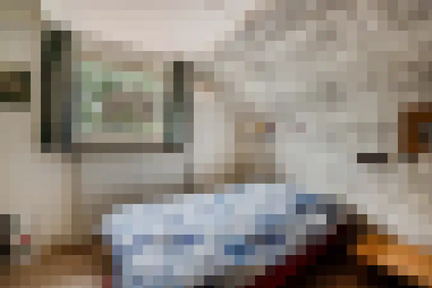 Slachte 12 Wommels thumbnail 35