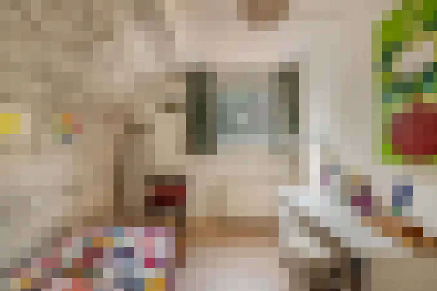 Slachte 12 Wommels thumbnail 37