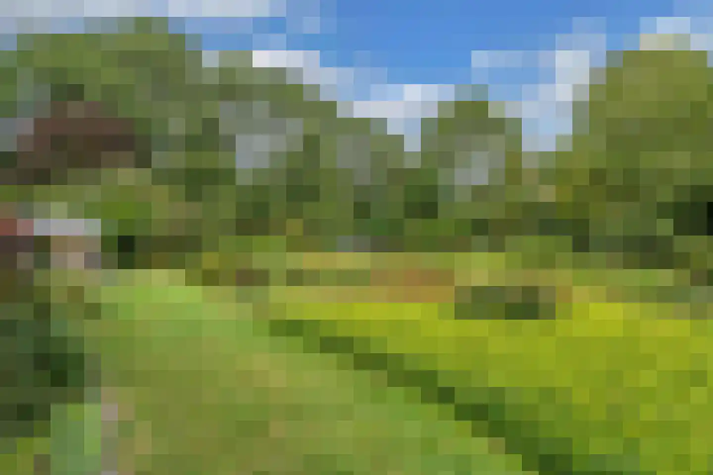 Slachte 12 Wommels thumbnail 4