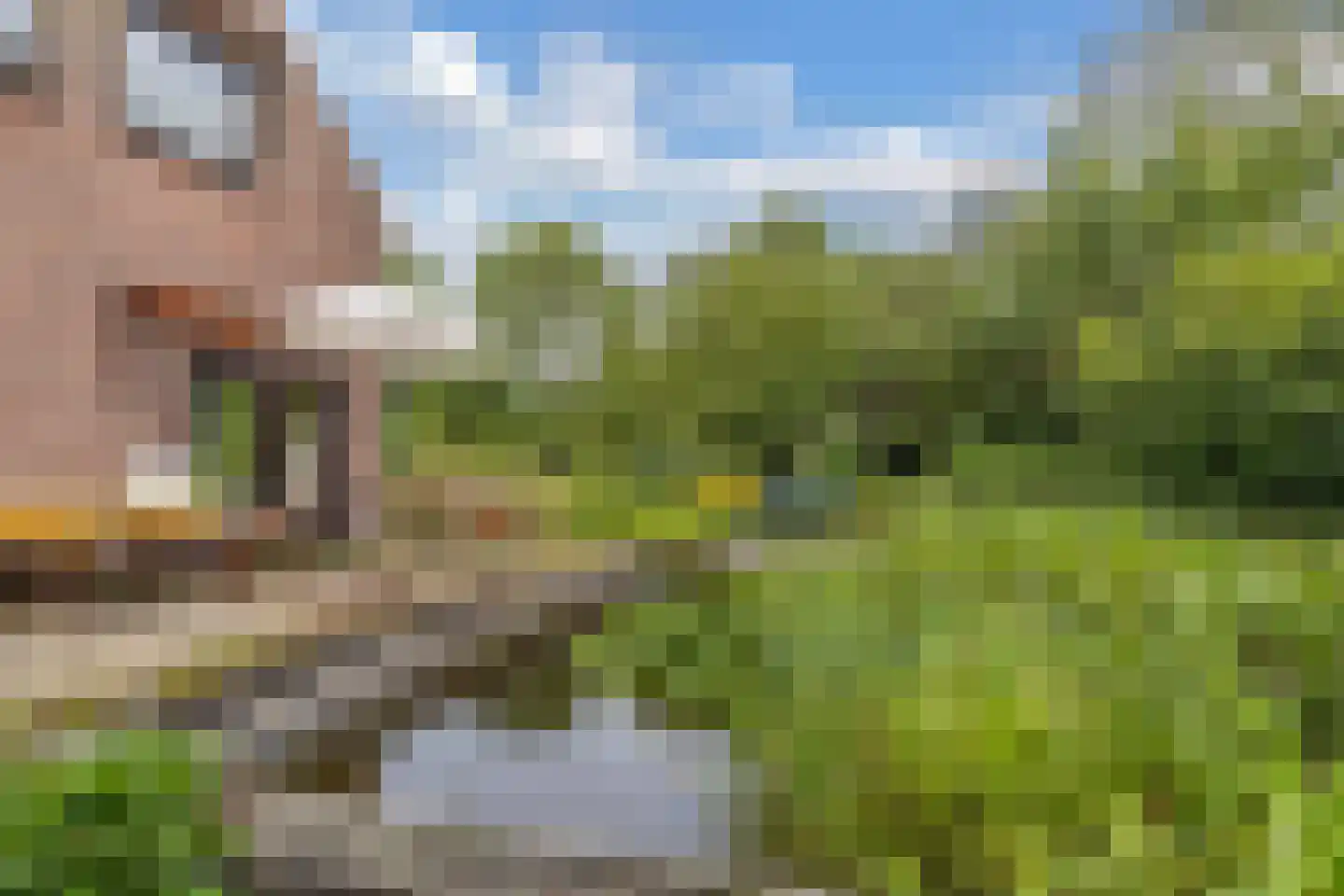 Slachte 12 Wommels thumbnail 40