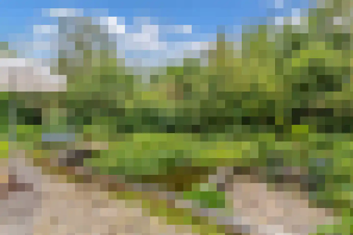 Slachte 12 Wommels thumbnail 42
