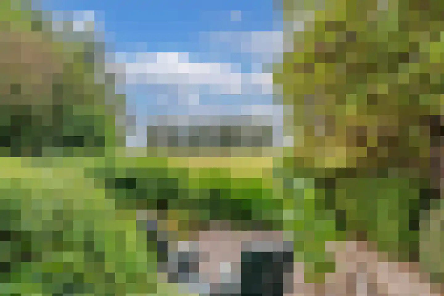 Slachte 12 Wommels thumbnail 44