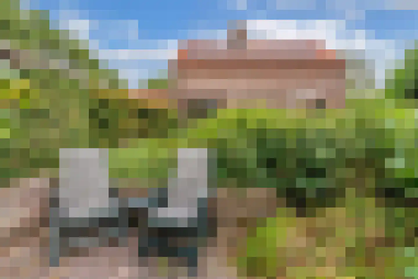 Slachte 12 Wommels thumbnail 45